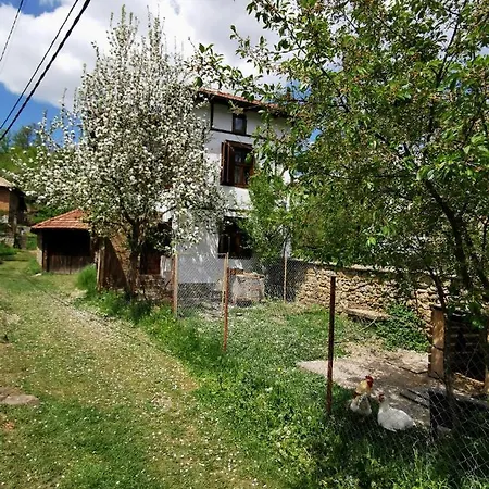 Ostello Risingsoul Villa & Yoga Barn *