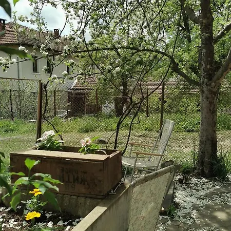 Risingsoul Villa & Yoga Barn Ostello Gabarevo
