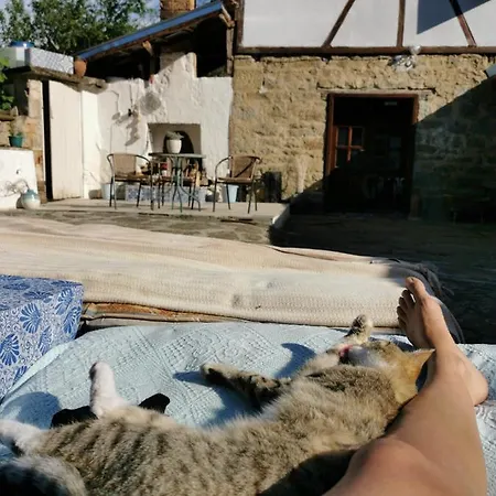 Ostello Risingsoul Villa & Yoga Barn